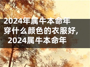 2024年属牛本命年穿什么颜色的衣服好,2024属牛本命年