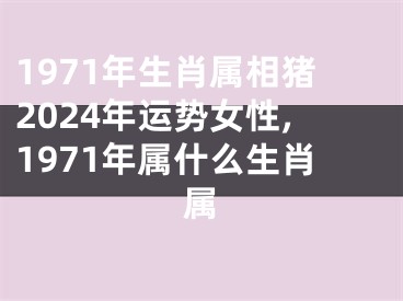 1971年生肖属相猪2024年运势女性,1971年属什么生肖属