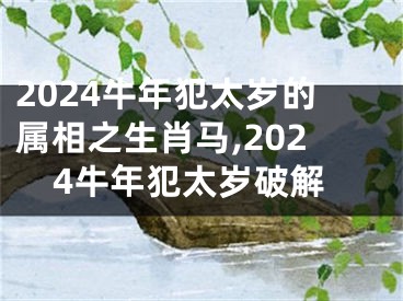 2024牛年犯太岁的属相之生肖马,2024牛年犯太岁破解