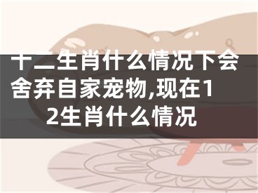 十二生肖什么情况下会舍弃自家宠物,现在12生肖什么情况