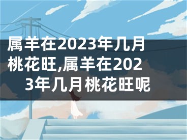 属羊在2023年几月桃花旺,属羊在2023年几月桃花旺呢