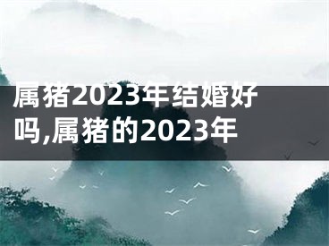 属猪2023年结婚好吗,属猪的2023年