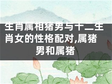 生肖属相猪男与十二生肖女的性格配对,属猪男和属猪