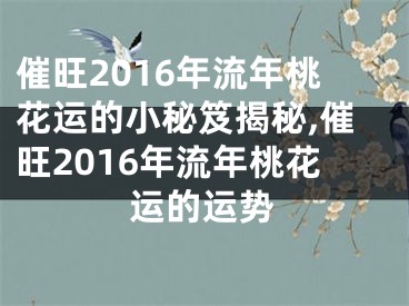 催旺2016年流年桃花运的小秘笈揭秘,催旺2016年流年桃花运的运势