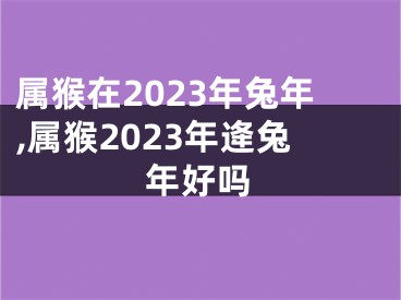 属猴在2023年兔年,属猴2023年逄兔年好吗