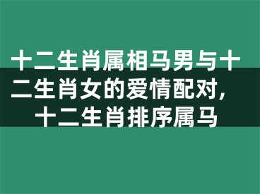 十二生肖属相马男与十二生肖女的爱情配对,十二生肖排序属马