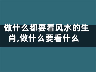 做什么都要看风水的生肖,做什么要看什么