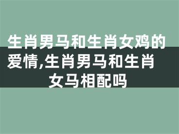 生肖男马和生肖女鸡的爱情,生肖男马和生肖女马相配吗