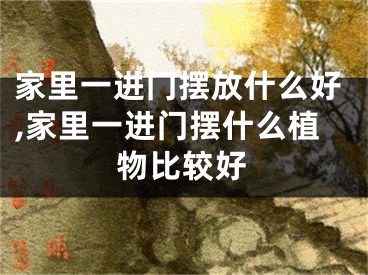 家里一进门摆放什么好,家里一进门摆什么植物比较好