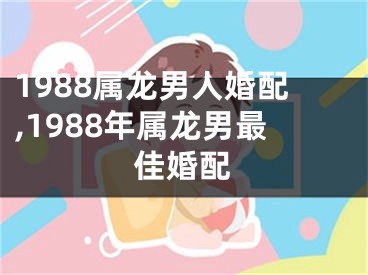 1988属龙男人婚配,1988年属龙男最佳婚配