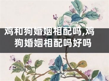 鸡和狗婚姻相配吗,鸡狗婚姻相配吗好吗