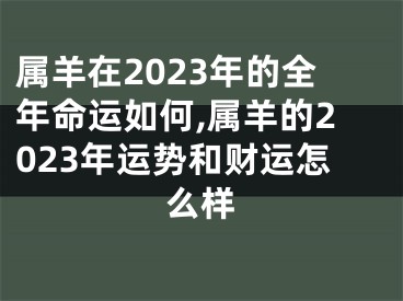 属羊在2023年的全年命运如何,属羊的2023年运势和财运怎么样