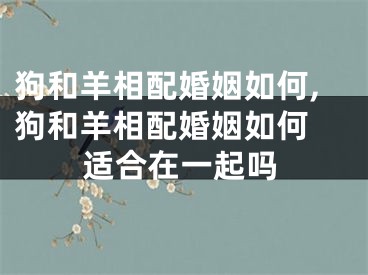 狗和羊相配婚姻如何,狗和羊相配婚姻如何 适合在一起吗