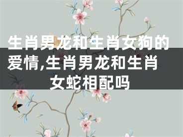 生肖男龙和生肖女狗的爱情,生肖男龙和生肖女蛇相配吗