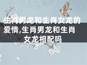 生肖男龙和生肖女龙的爱情,生肖男龙和生肖女龙相配吗