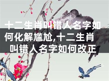 十二生肖叫错人名字如何化解尴尬,十二生肖叫错人名字如何改正