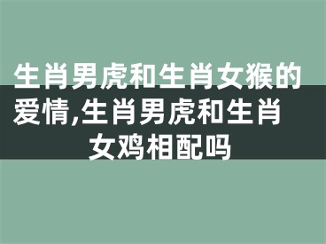 生肖男虎和生肖女猴的爱情,生肖男虎和生肖女鸡相配吗