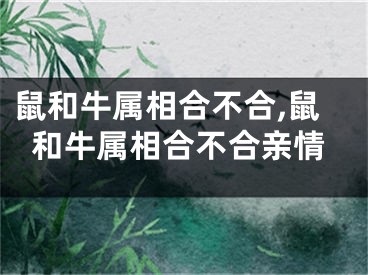 鼠和牛属相合不合,鼠和牛属相合不合亲情