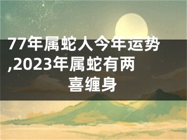 77年属蛇人今年运势,2023年属蛇有两喜缠身