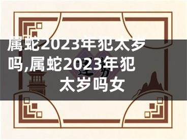 属蛇2023年犯太岁吗,属蛇2023年犯太岁吗女