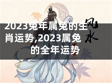 2023兔年属兔的生肖运势,2023属兔的全年运势