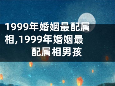 1999年婚姻最配属相,1999年婚姻最配属相男孩