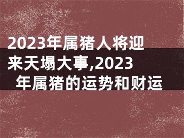 2023年属猪人将迎来天塌大事,2023年属猪的运势和财运