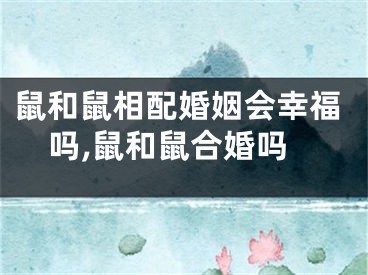 鼠和鼠相配婚姻会幸福吗,鼠和鼠合婚吗