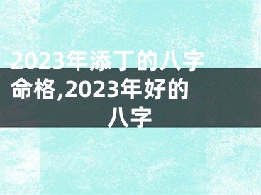 2023年添丁的八字命格,2023年好的八字