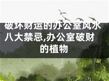 破坏财运的办公室风水八大禁忌,办公室破财的植物