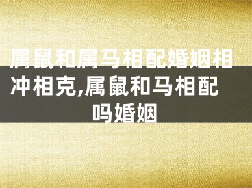 属鼠和属马相配婚姻相冲相克,属鼠和马相配吗婚姻