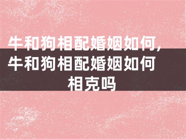 牛和狗相配婚姻如何,牛和狗相配婚姻如何 相克吗