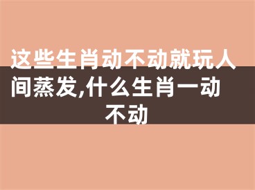 这些生肖动不动就玩人间蒸发,什么生肖一动不动