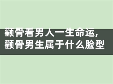 颧骨看男人一生命运,颧骨男生属于什么脸型