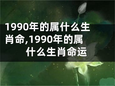 1990年的属什么生肖命,1990年的属什么生肖命运