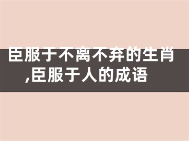 臣服于不离不弃的生肖,臣服于人的成语