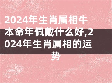 2024年生肖属相牛本命年佩戴什么好,2024年生肖属相的运势