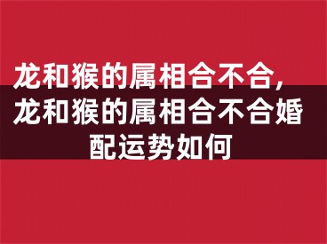 龙和猴的属相合不合,龙和猴的属相合不合婚配运势如何