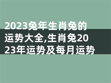 2023兔年生肖兔的运势大全,生肖兔2023年运势及每月运势