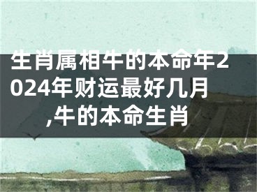 生肖属相牛的本命年2024年财运最好几月,牛的本命生肖