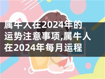 属牛人在2024年的运势注意事项,属牛人在2024年每月运程