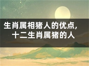 生肖属相猪人的优点,十二生肖属猪的人