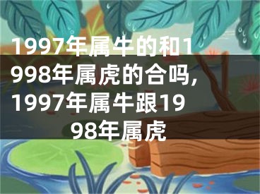 1997年属牛的和1998年属虎的合吗,1997年属牛跟1998年属虎