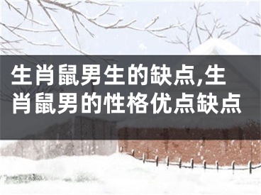 生肖鼠男生的缺点,生肖鼠男的性格优点缺点