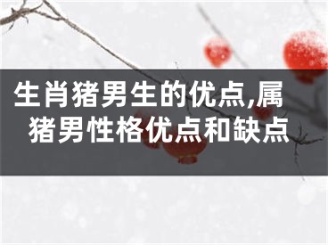 生肖猪男生的优点,属猪男性格优点和缺点