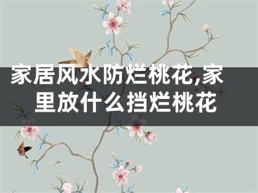 家居风水防烂桃花,家里放什么挡烂桃花