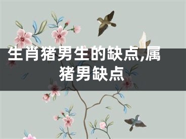 生肖猪男生的缺点,属猪男缺点