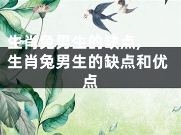 生肖兔男生的缺点	,生肖兔男生的缺点和优点