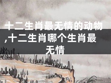 十二生肖最无情的动物,十二生肖哪个生肖最无情