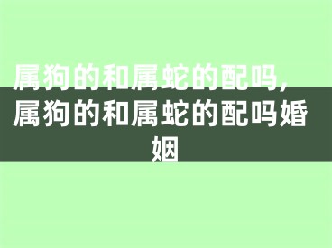 属狗的和属蛇的配吗,属狗的和属蛇的配吗婚姻